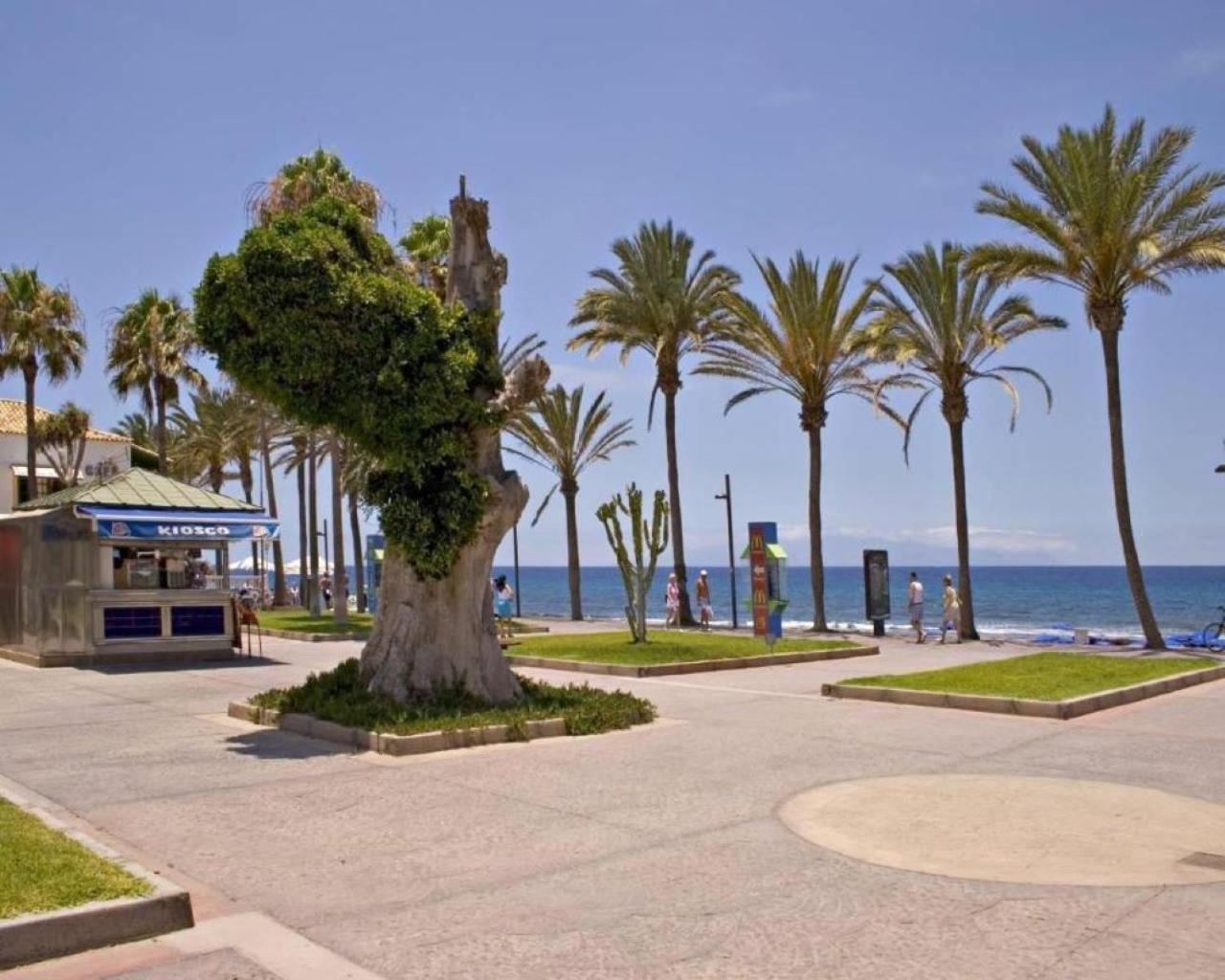 Royal View - Cristianos Los Cristianos (Tenerife)