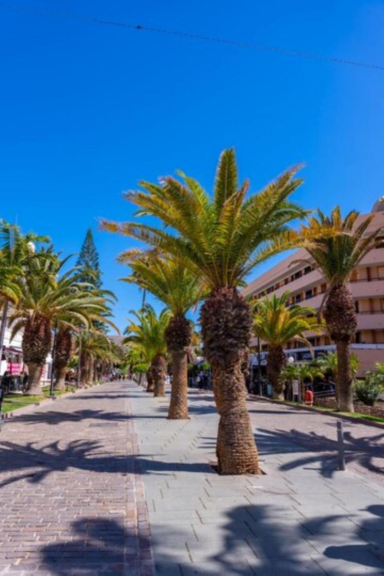 Royal View - Cristianos Apartment Los Cristianos (Tenerife)