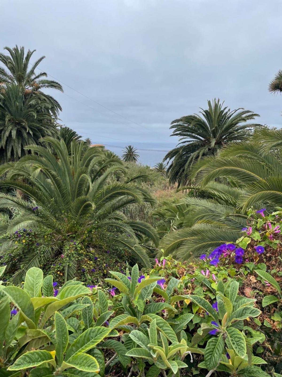 Theharmonyhousetaganana Hébergement de vacances *