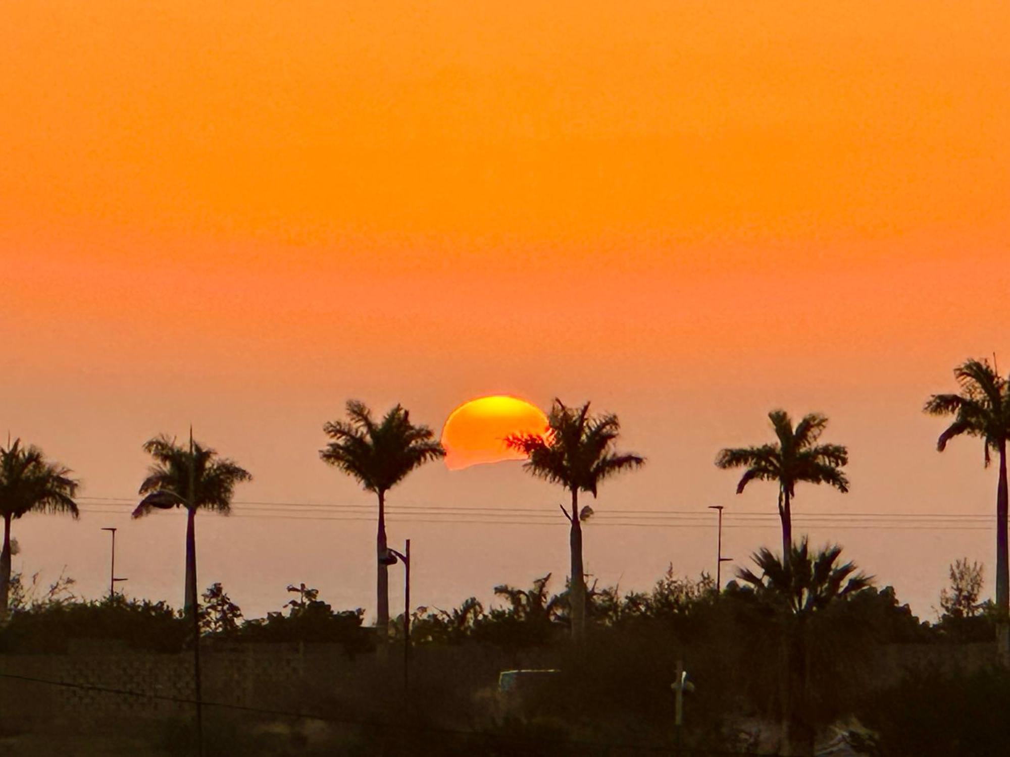 Tenerife Holidays * Costa Adeje (Tenerife)