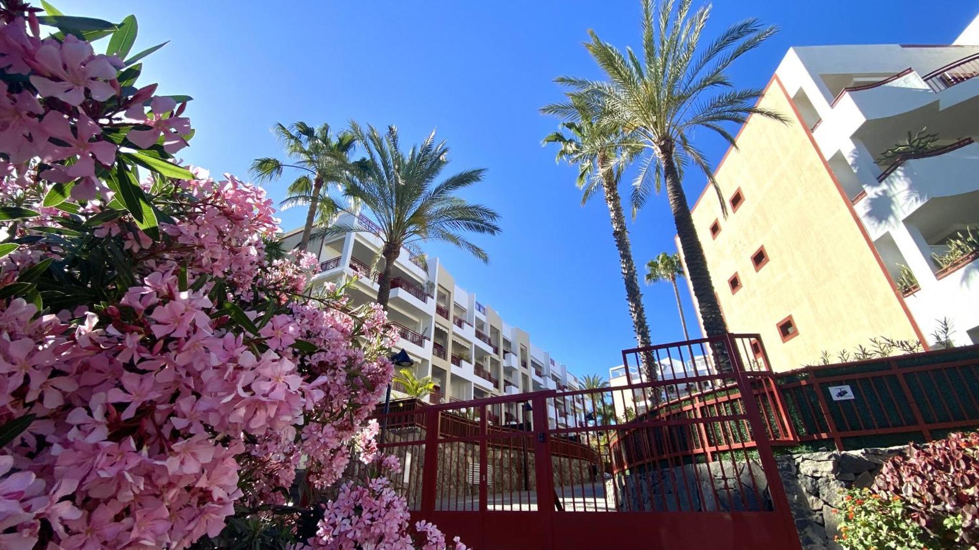 Palmmar Balandros Deluxe By Deihu Experiences Palm-mar