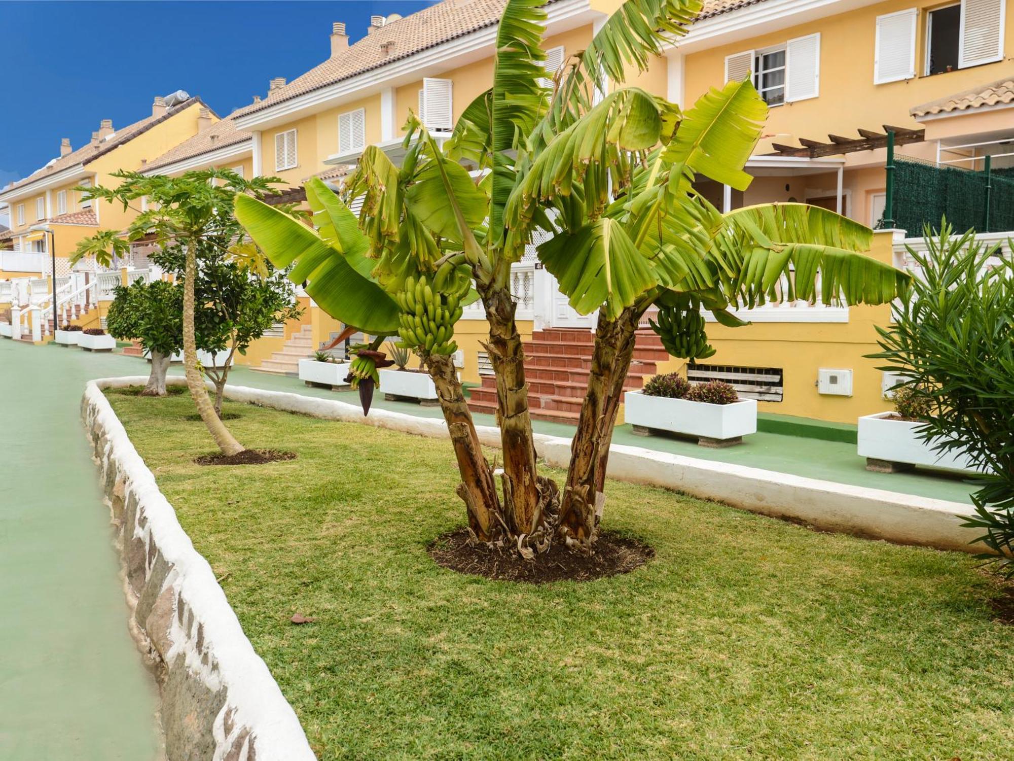Apartment Tenerife Sur Cristianos,parking,air,wifi *