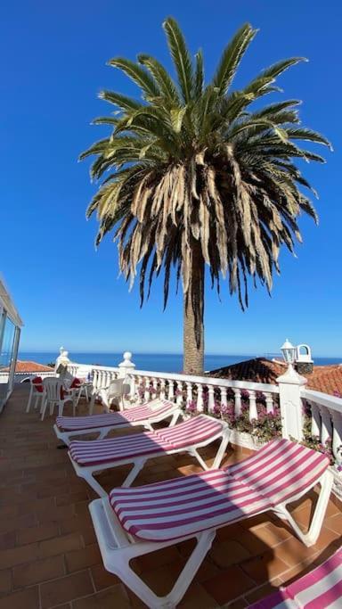 Appartement Sunny Big Pool Bbq Terrace *