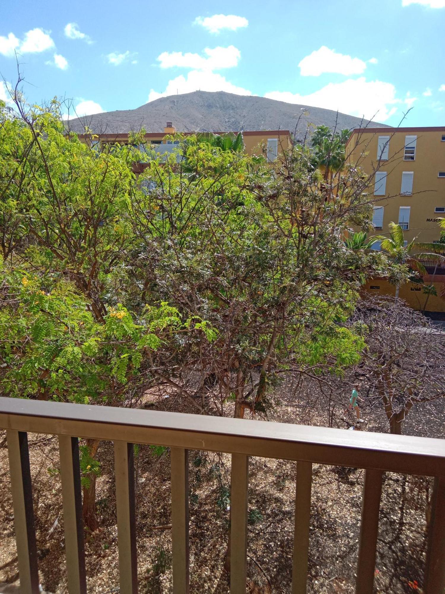 Appartement Cristianos *