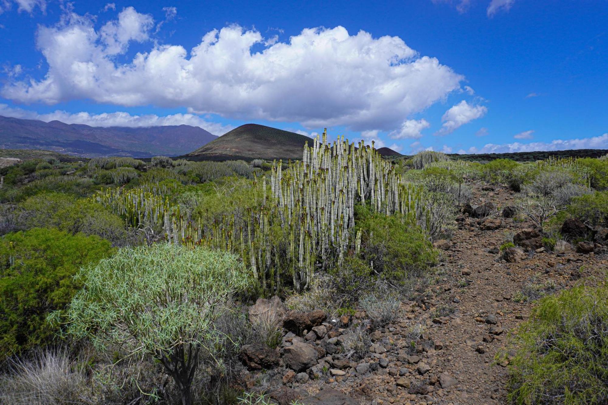 Seaside In Puertito de Guimar