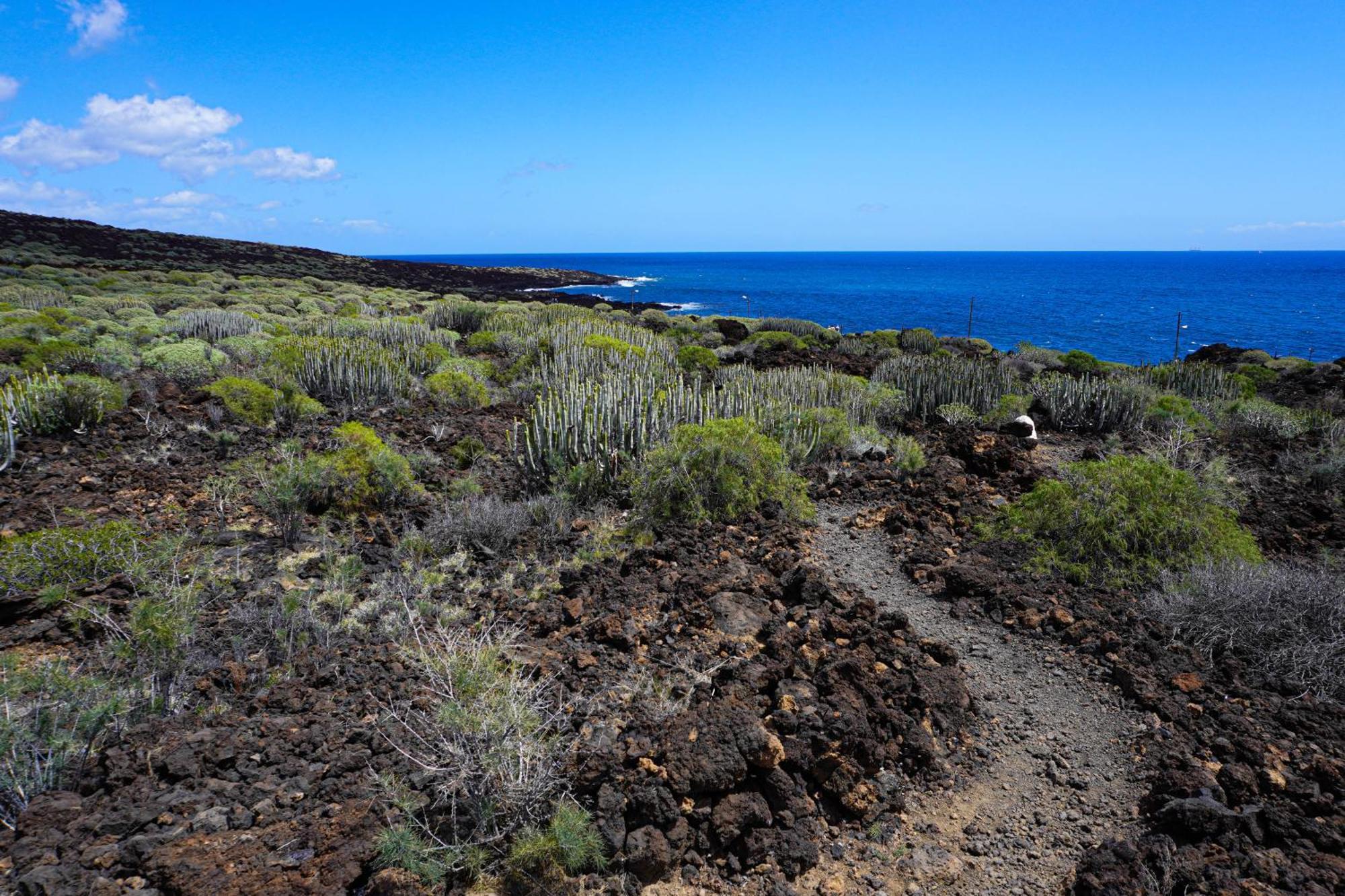 Seaside In Puertito de Guimar