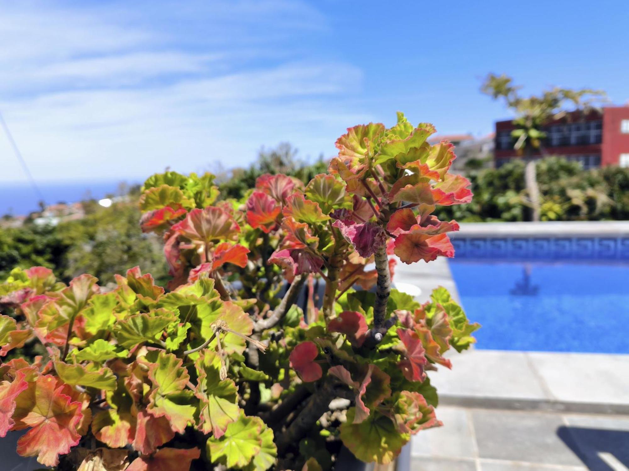 Apartamento Guayonje Costa *