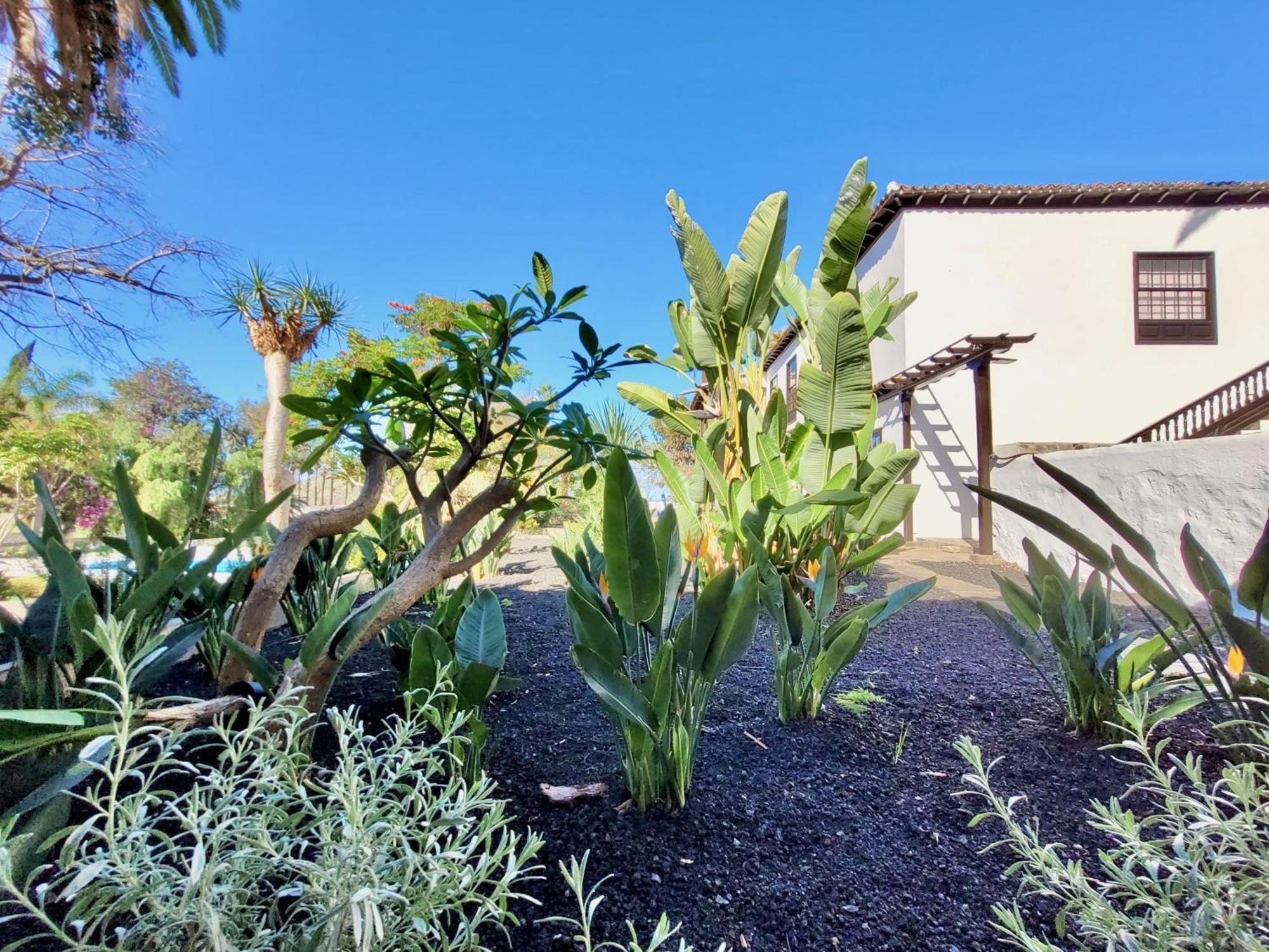 Hacienda La Vizcaina Apartamento La Orotava