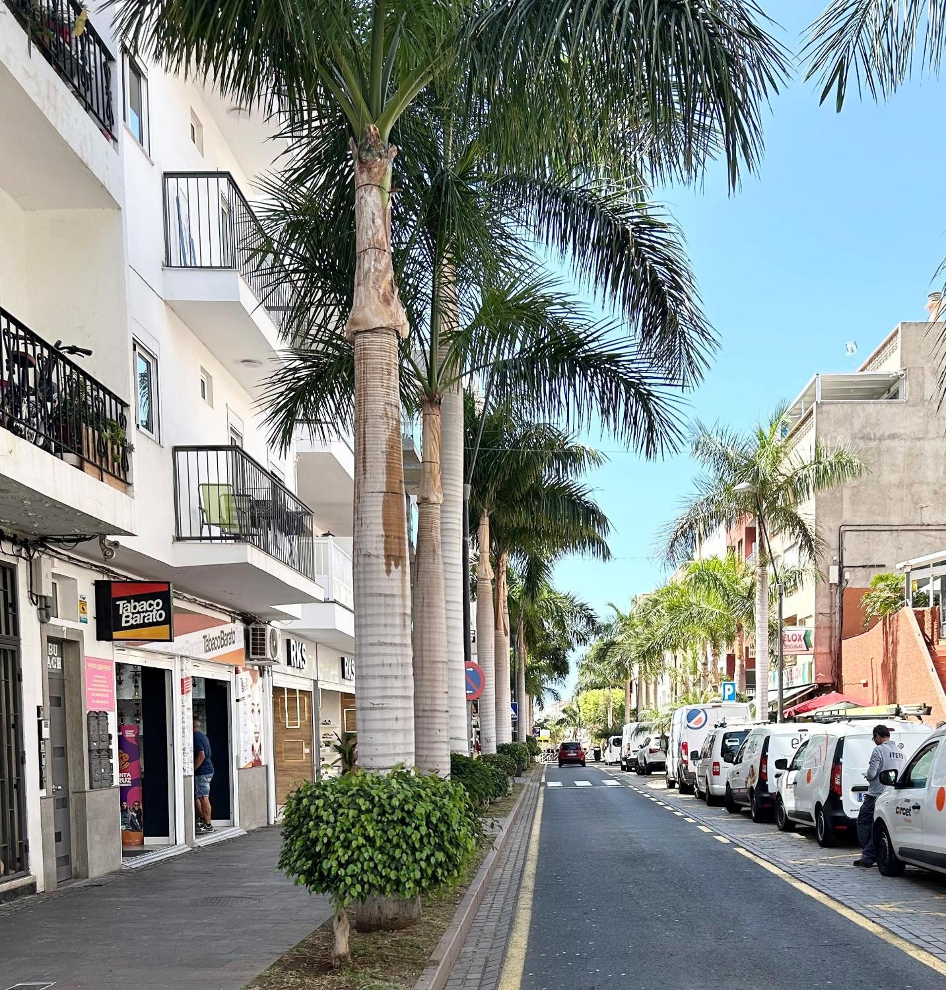 Beautiful, 2 Double Bedrooms In Cristianos, 3 Mins From The Appartement Arona (Tenerife)