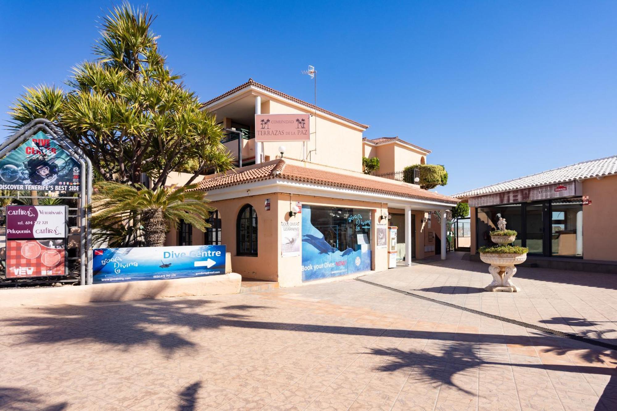 With Terrace In Golf Del Sur Apartment