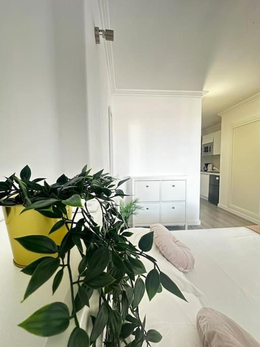 Appartement Shining Loft At Park Golf San Miguel de Abona