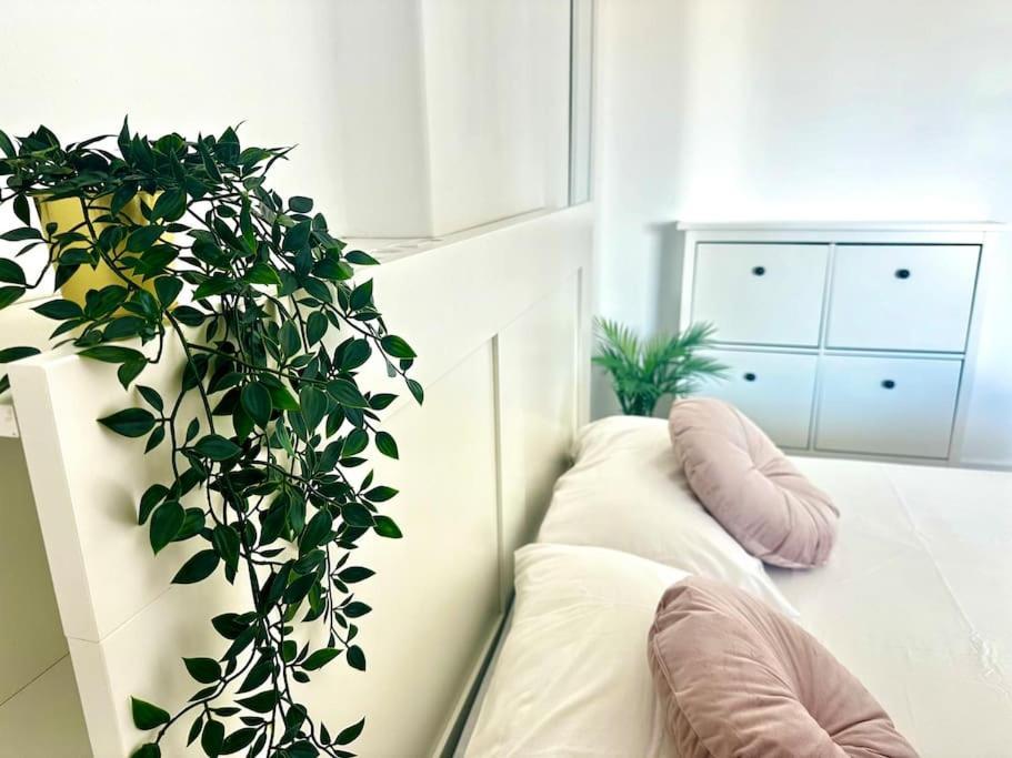Shining Loft At Park Golf Appartement San Miguel de Abona