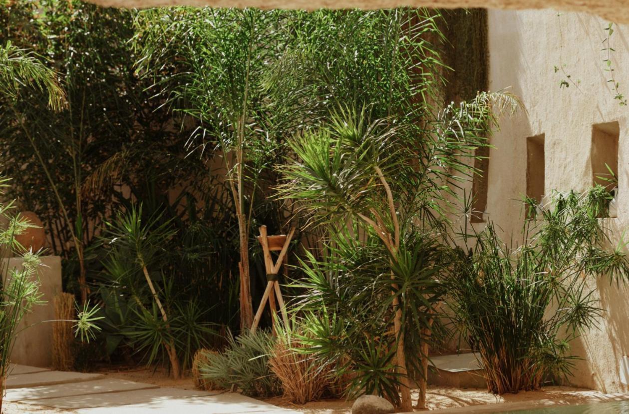 Ecohotel El Agua Arico el Nuevo