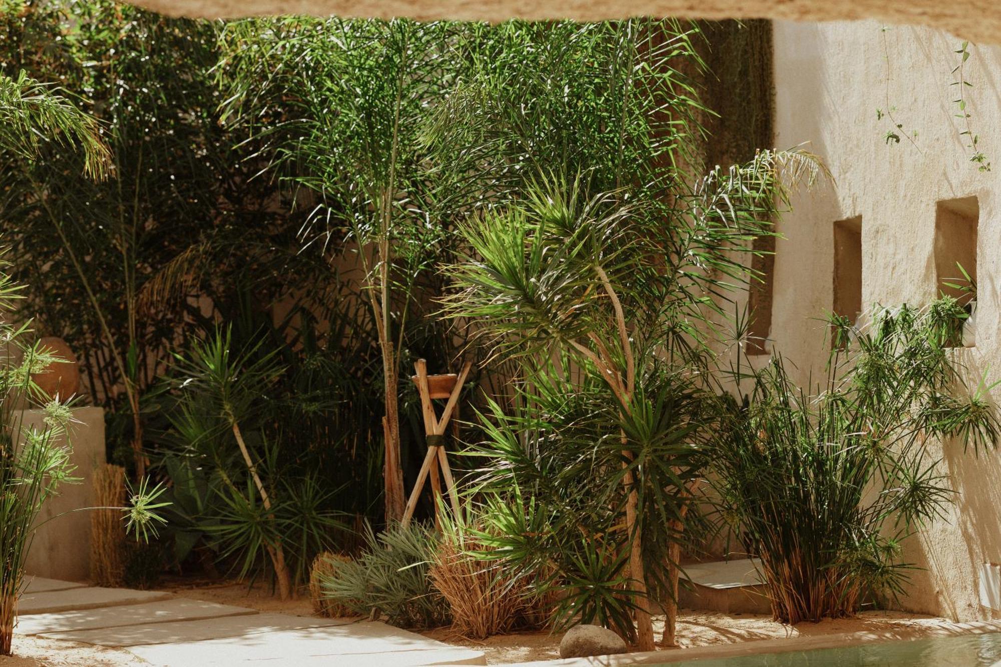 Villa Ecohotel El Agua