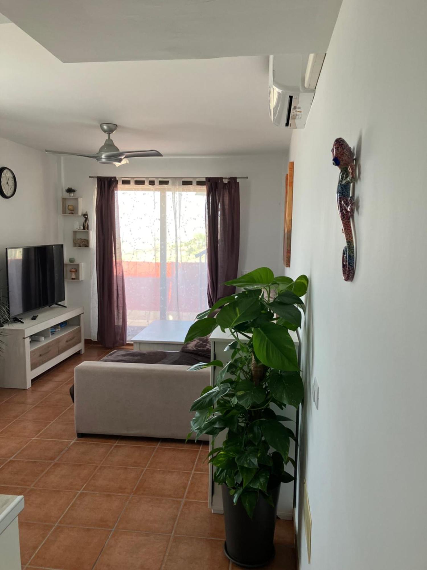Apartment Narancsvirag