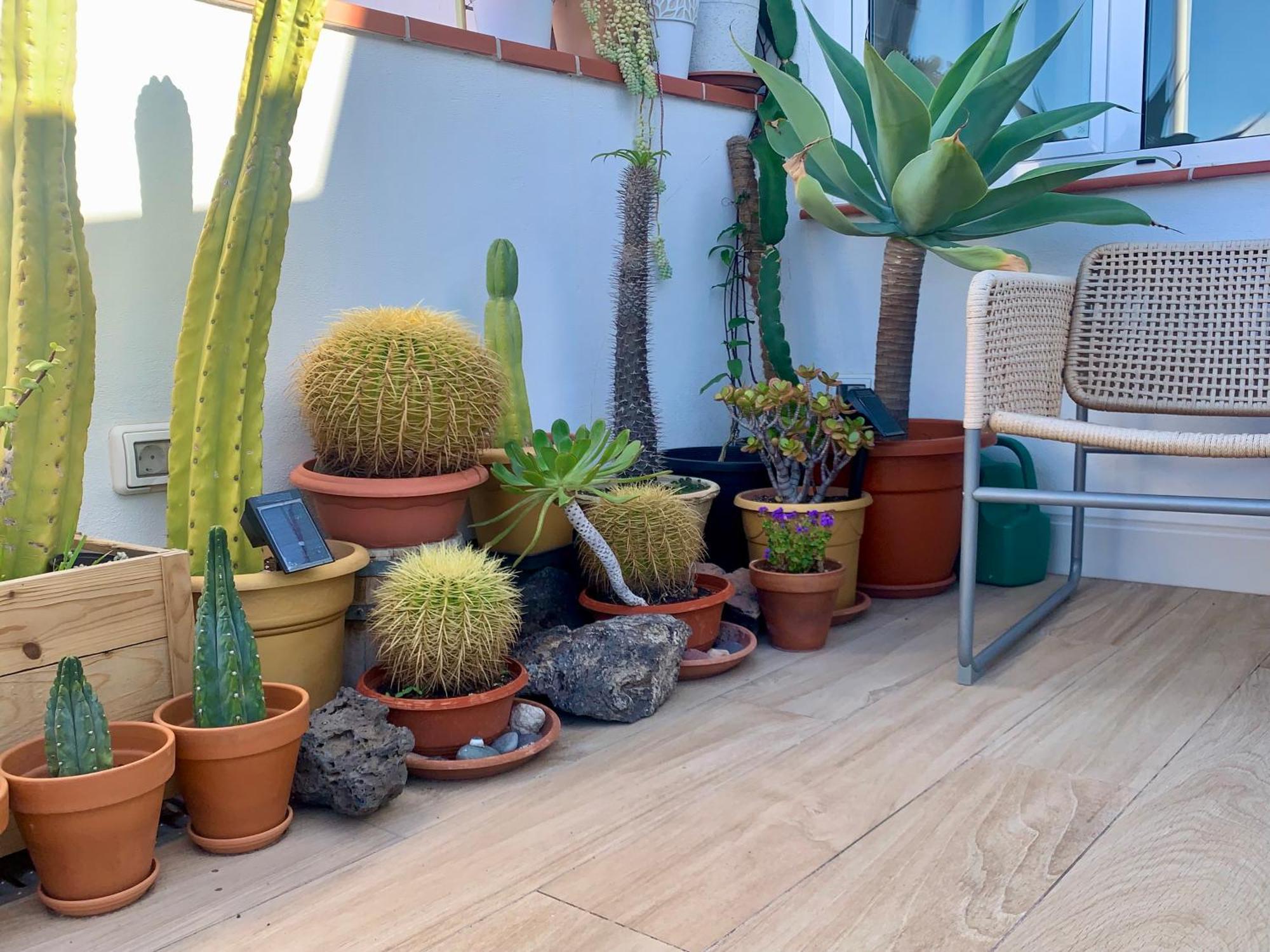 Atico Con Terraza, Vistas Panoramicas Y Parking