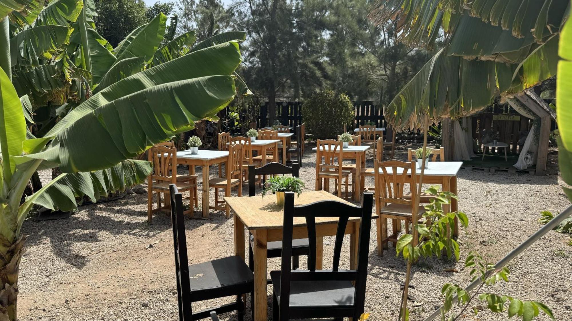 Privado Serendipia Natural Club Exclusive * Buzanada