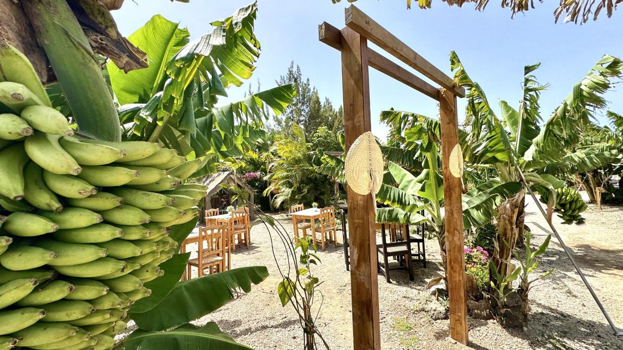 Privado Serendipia Natural Club Exclusive Сasa de vacaciones Buzanada