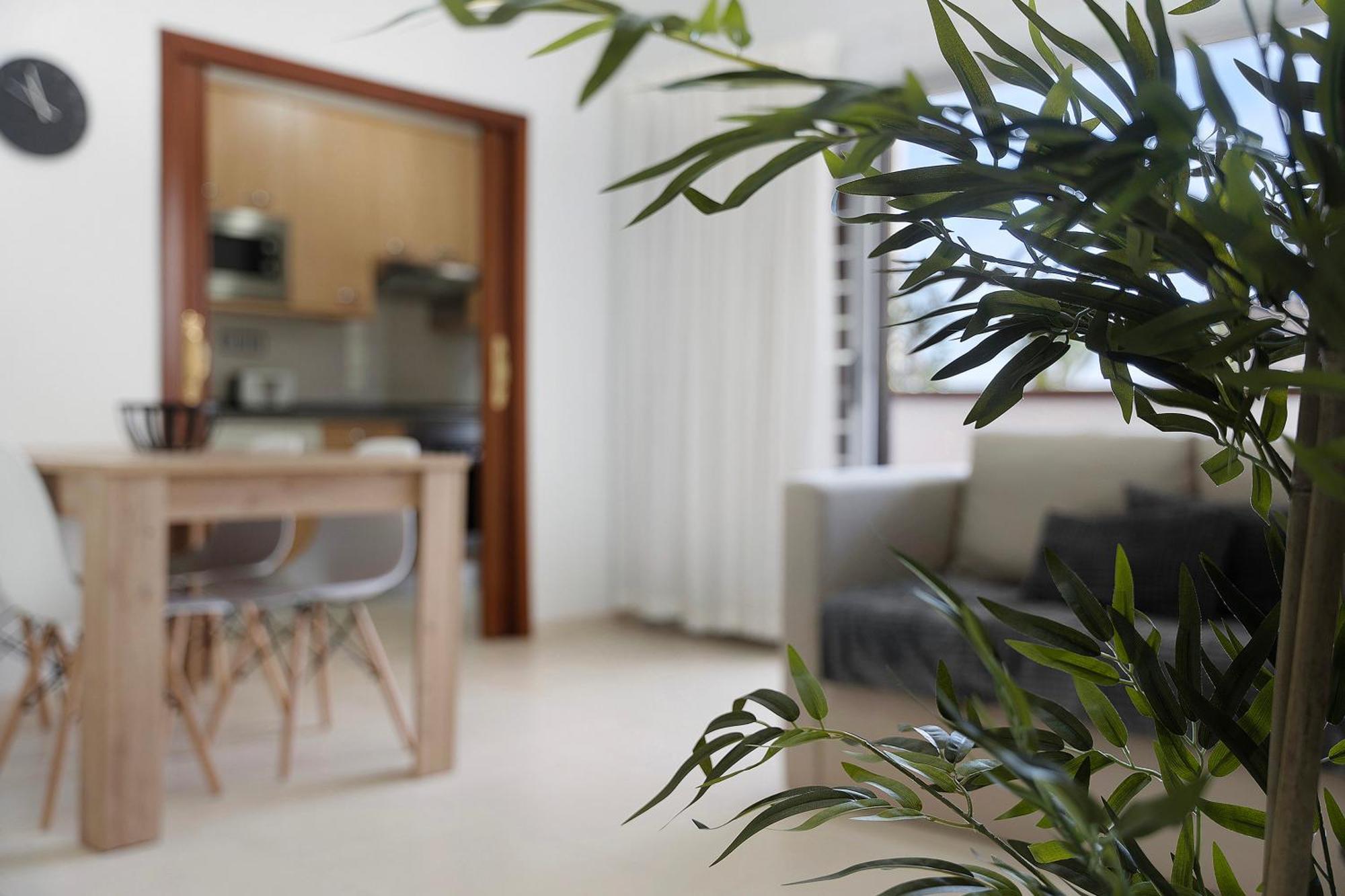 Appartement Opuntia