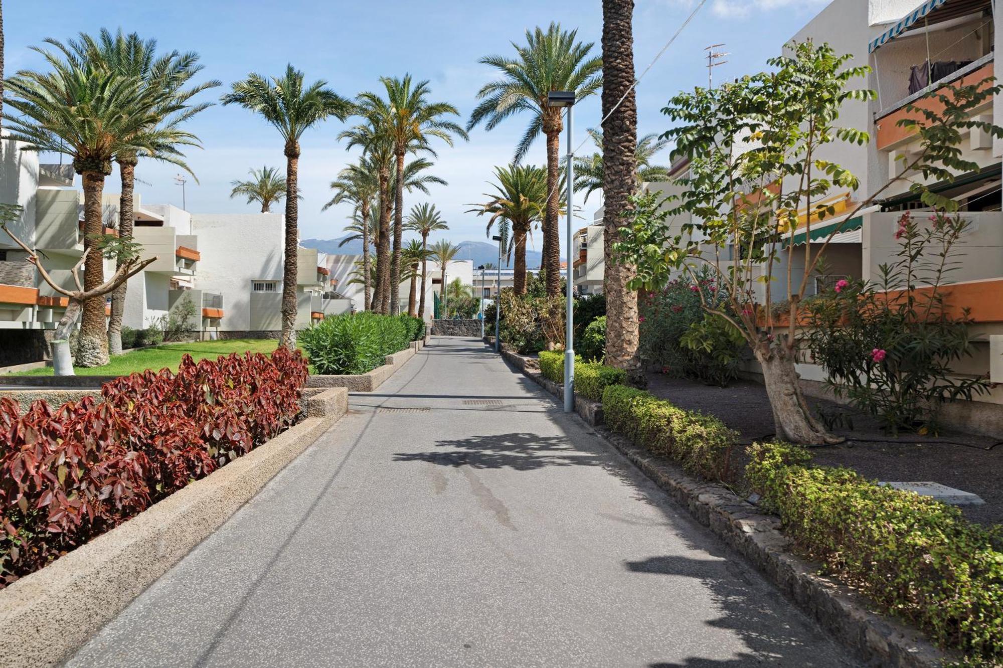 Aaron Beautifull House Arona (Tenerife)