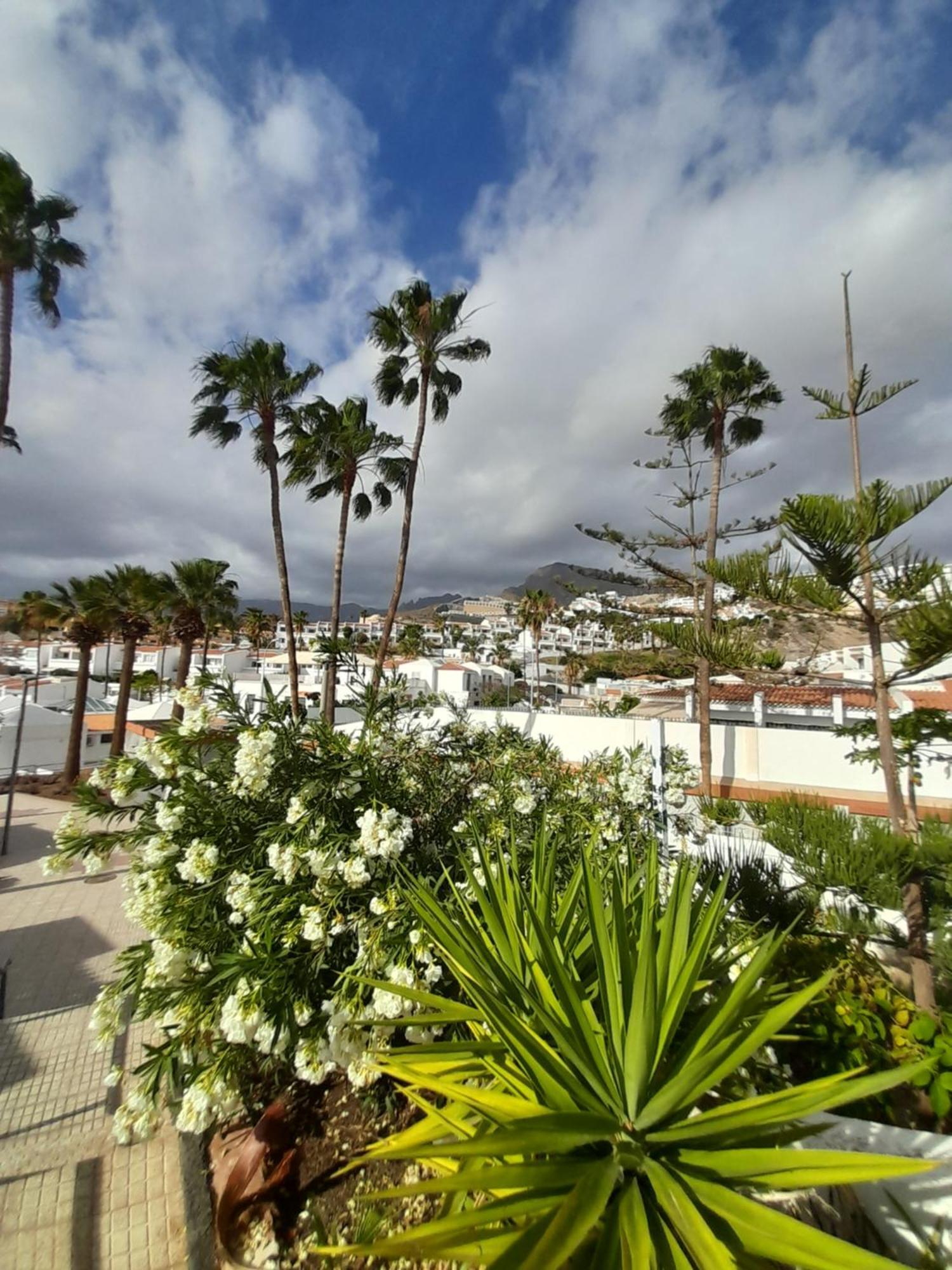 Island Village Heights * Costa Adeje (Tenerife)