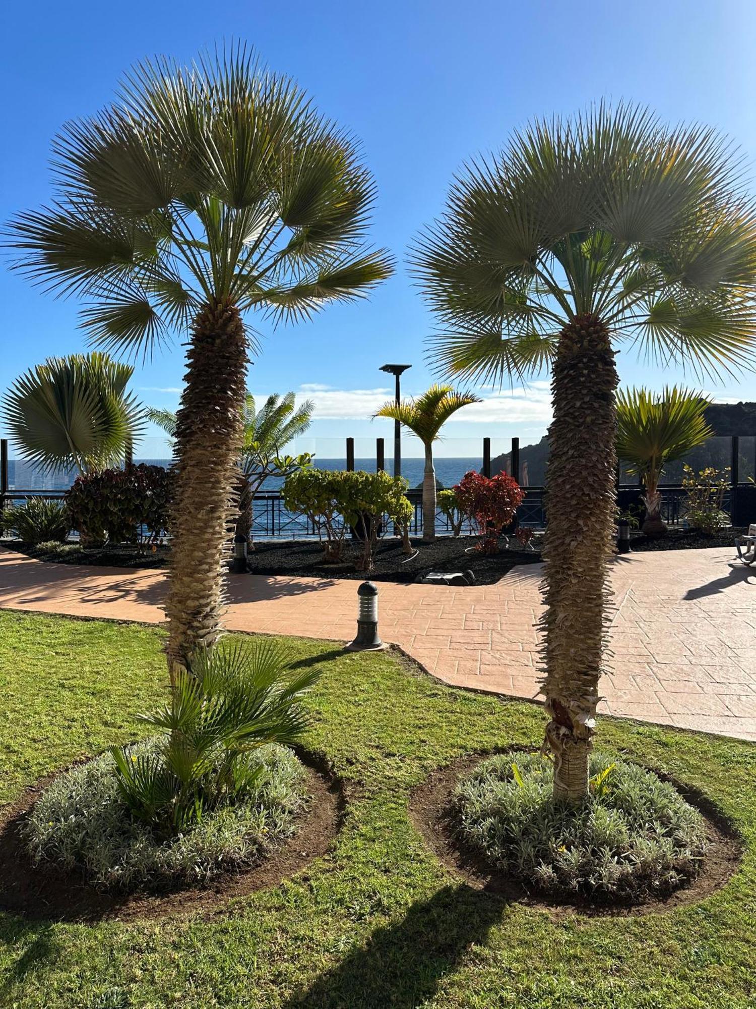 El Nautico Coral