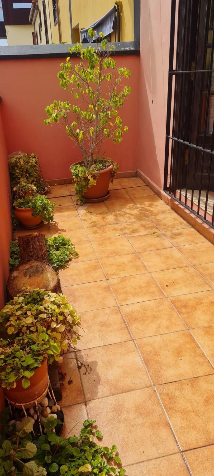 Hébergement de vacances Mgrahamhouse Tacoronte