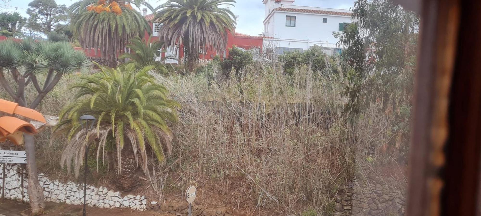 Hébergement de vacances Mgrahamhouse Tacoronte