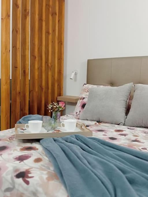 Appartement Centrico Y Encantador Estudio En *