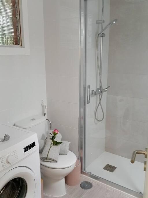 Appartement Centrico Y Encantador Estudio En Puerto de la Cruz (Tenerife)