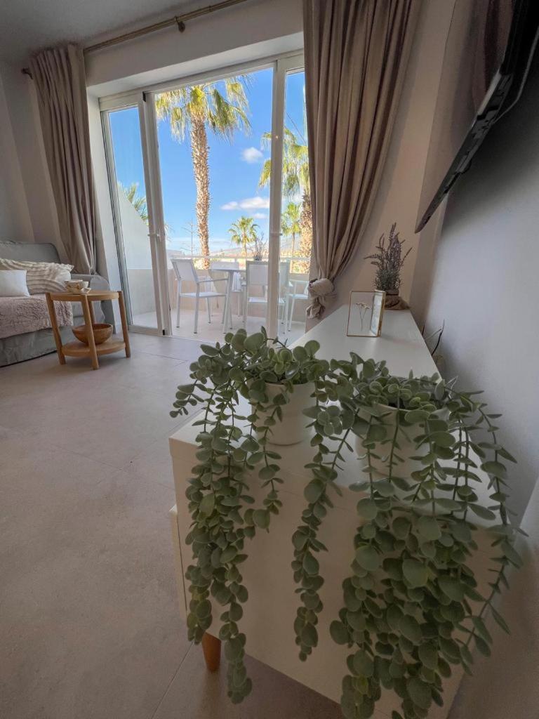 Apartment Casa Calma