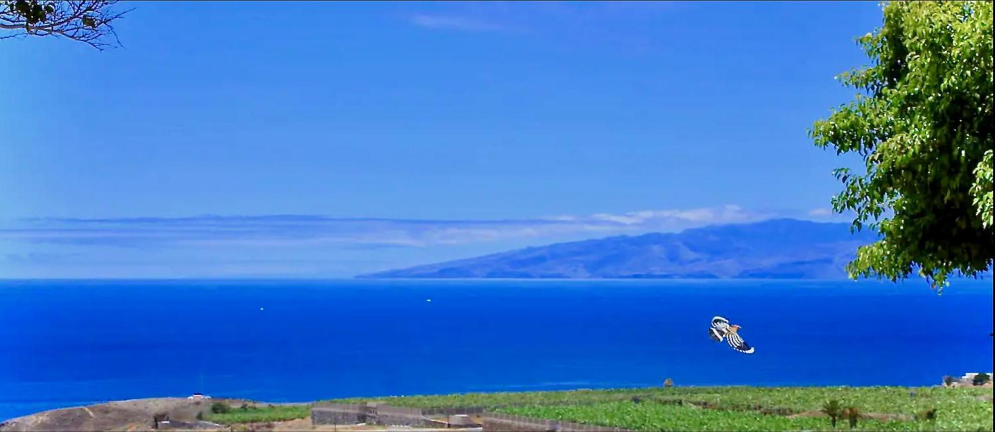 Villa Spacious, Well Appointed, In A Wonderful Raised Location And Stunning Sea Views *