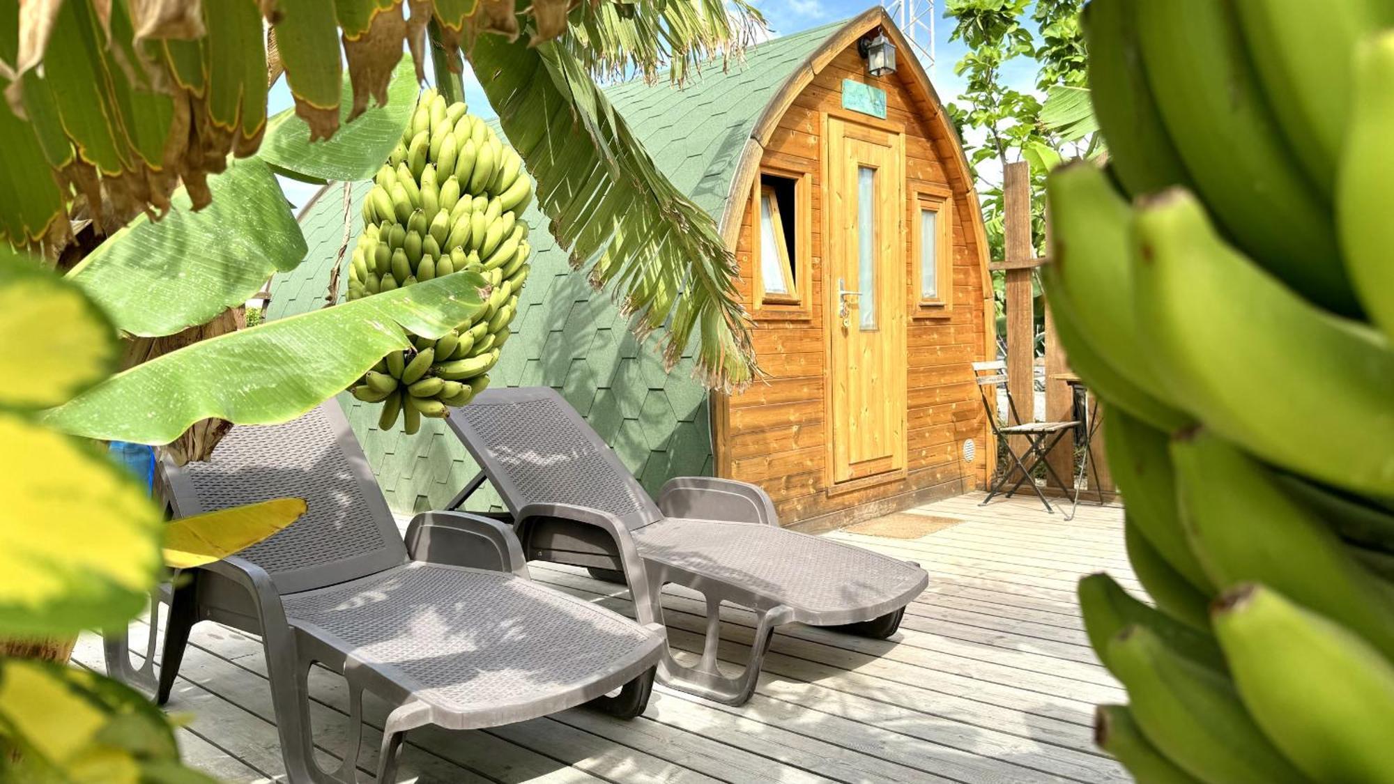 Lykke Sauna Piscina Y Jardin Appartement Buzanada