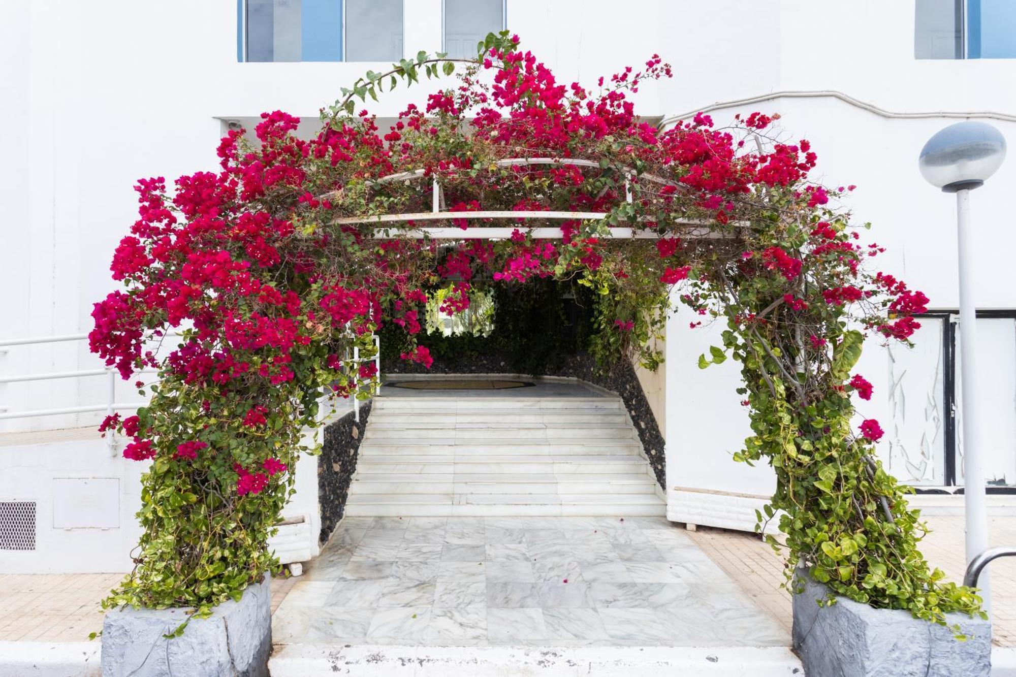 Apartamento Estudio Alma San Miguel de Abona