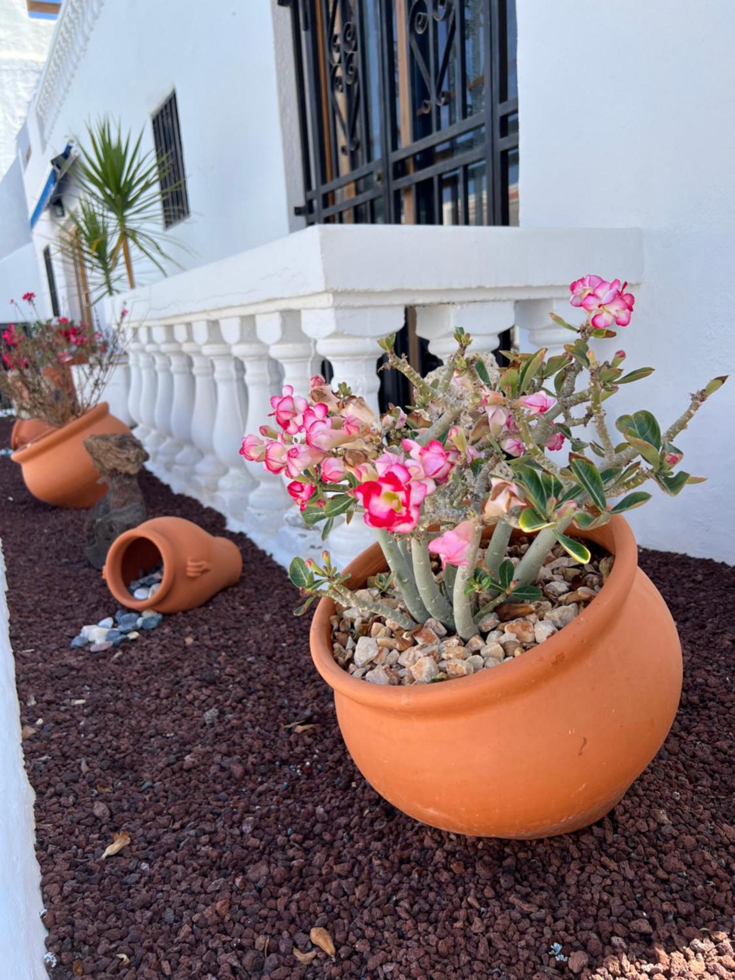 Vlasta Port Royal Cristianos Apartamento *