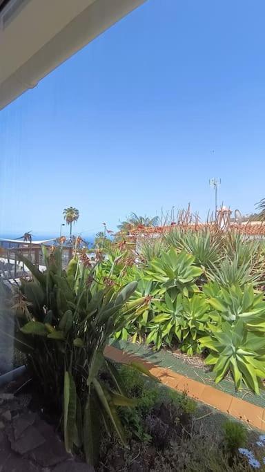 Heated Pool With Sea View Tranquil Retreat At Malvasia Garden