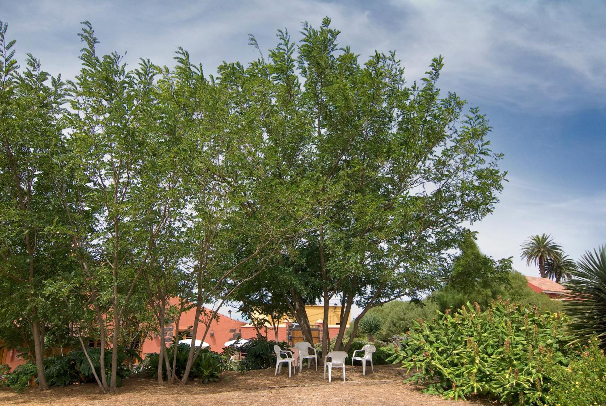 Casa Rural El Adelantado *