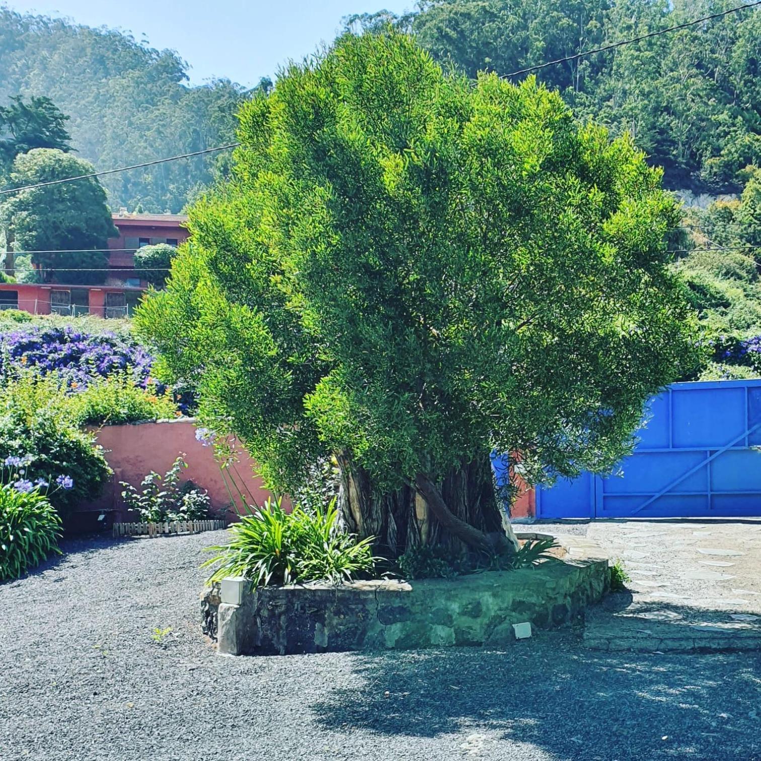 Casa El Porte *