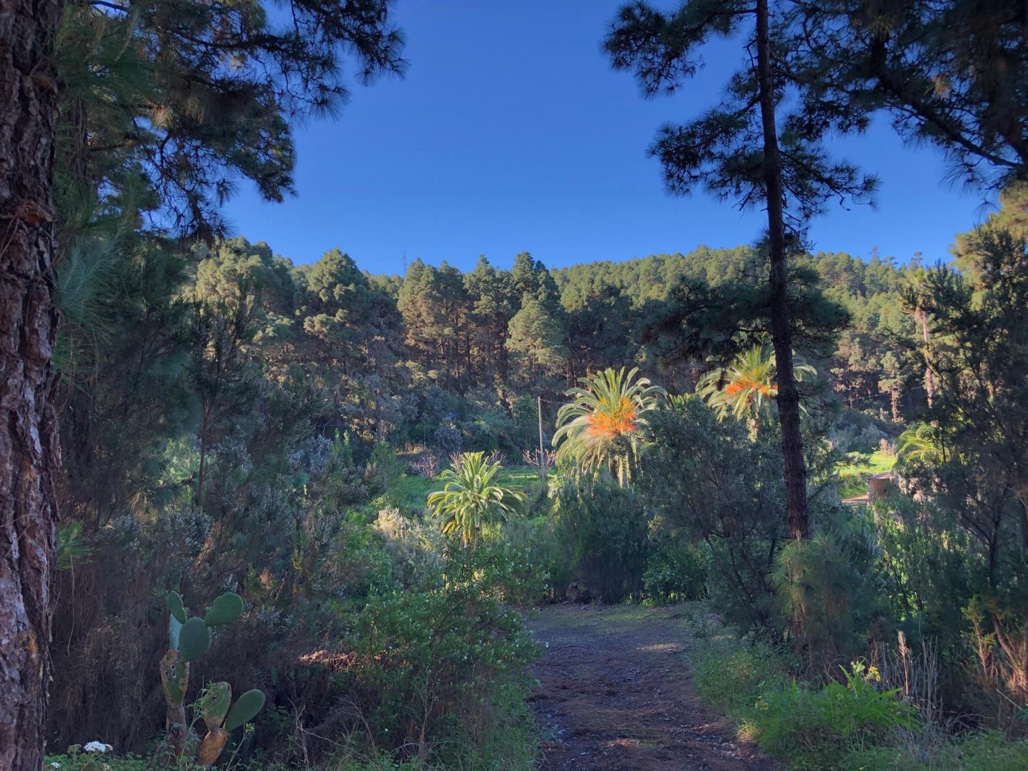 Monte Frio De Tenerife Country house