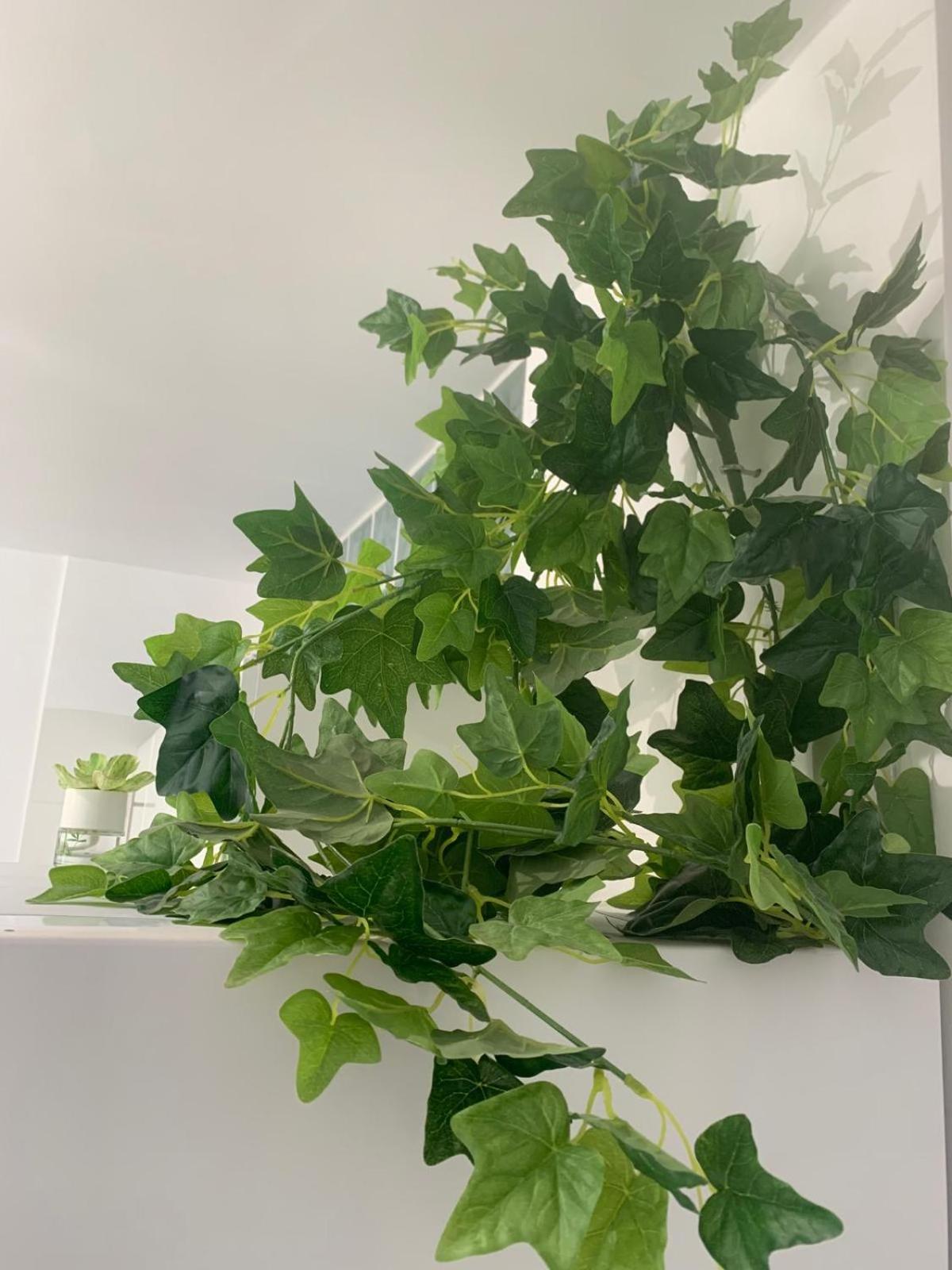 Apartamento Bonito Planta Baja En Mareverde-costa Adeje