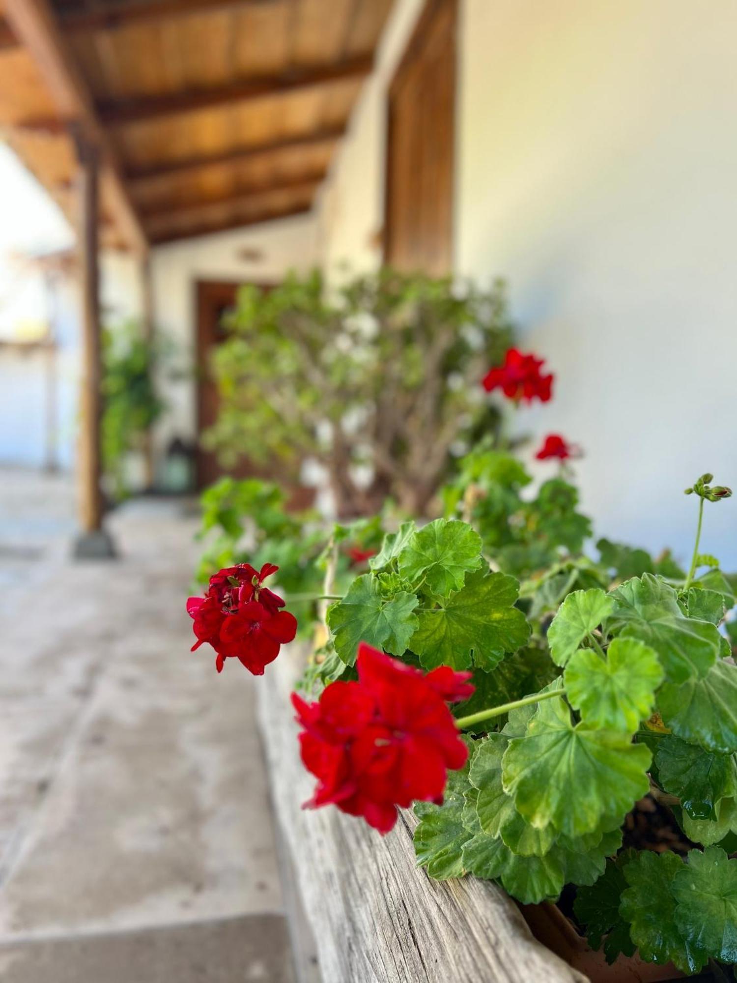 La Paredita Casa Taoro