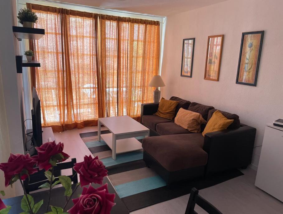 Playa Americas Apartment *