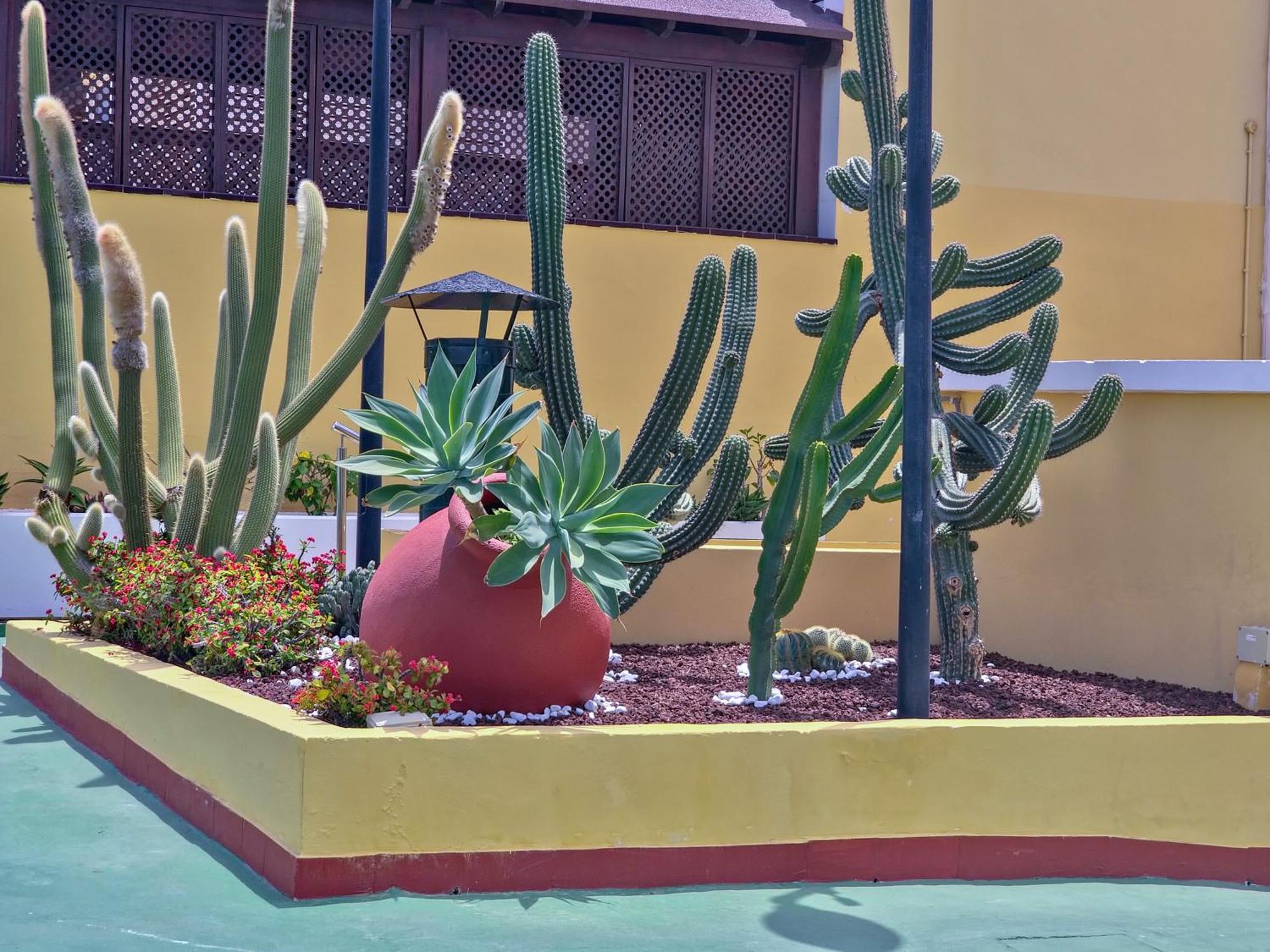 Casa Nonna By Helloapartments Apartment *