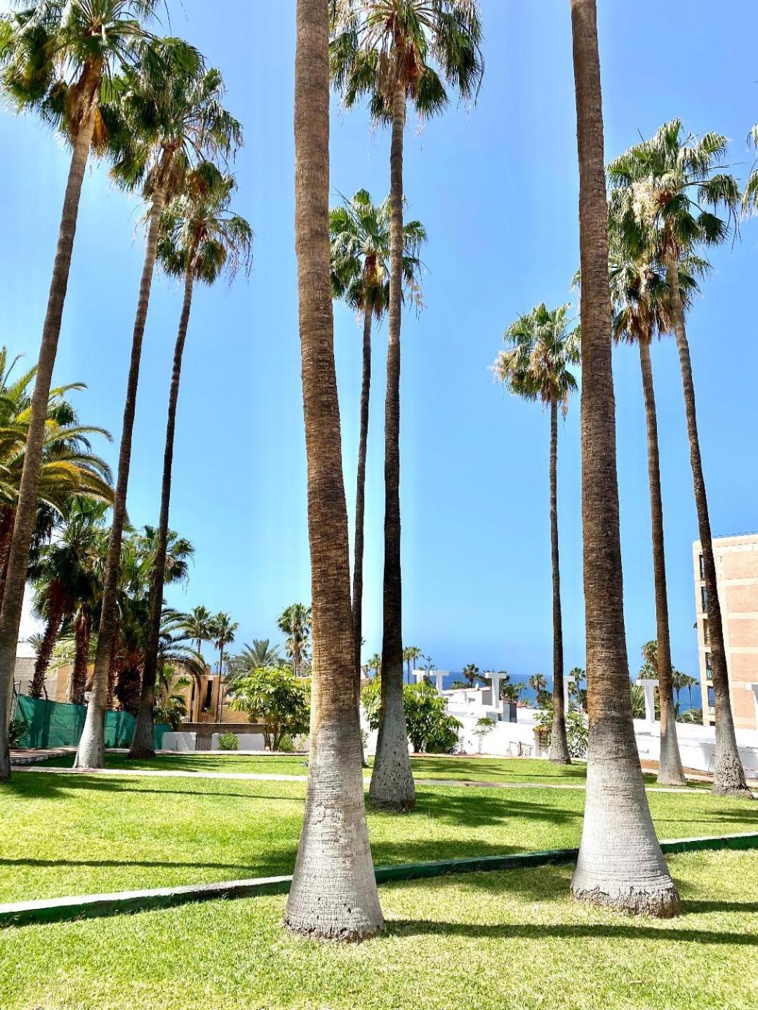Adeje Viña Del Mar Apartamento *