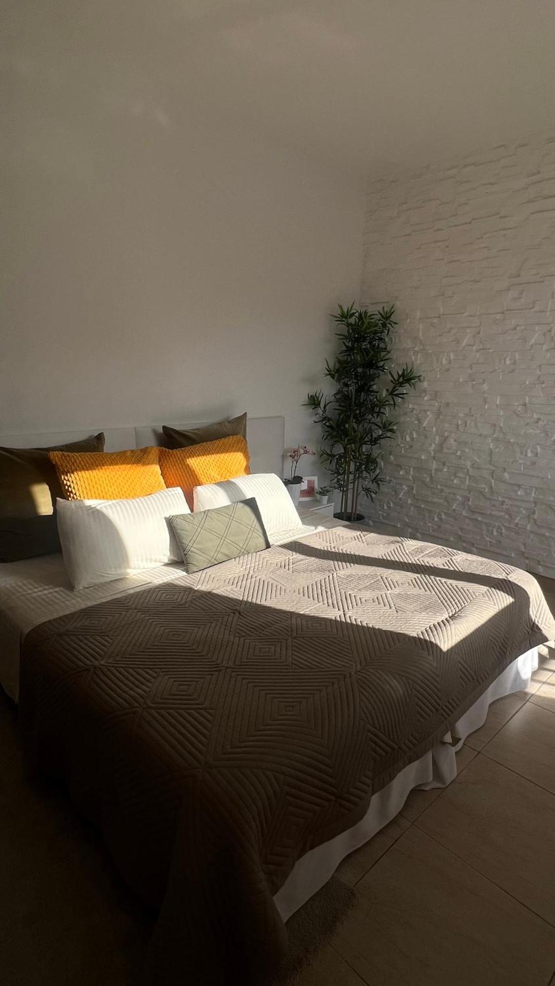 Tenerife Te Espera! Appartement Icod De Los Vinos