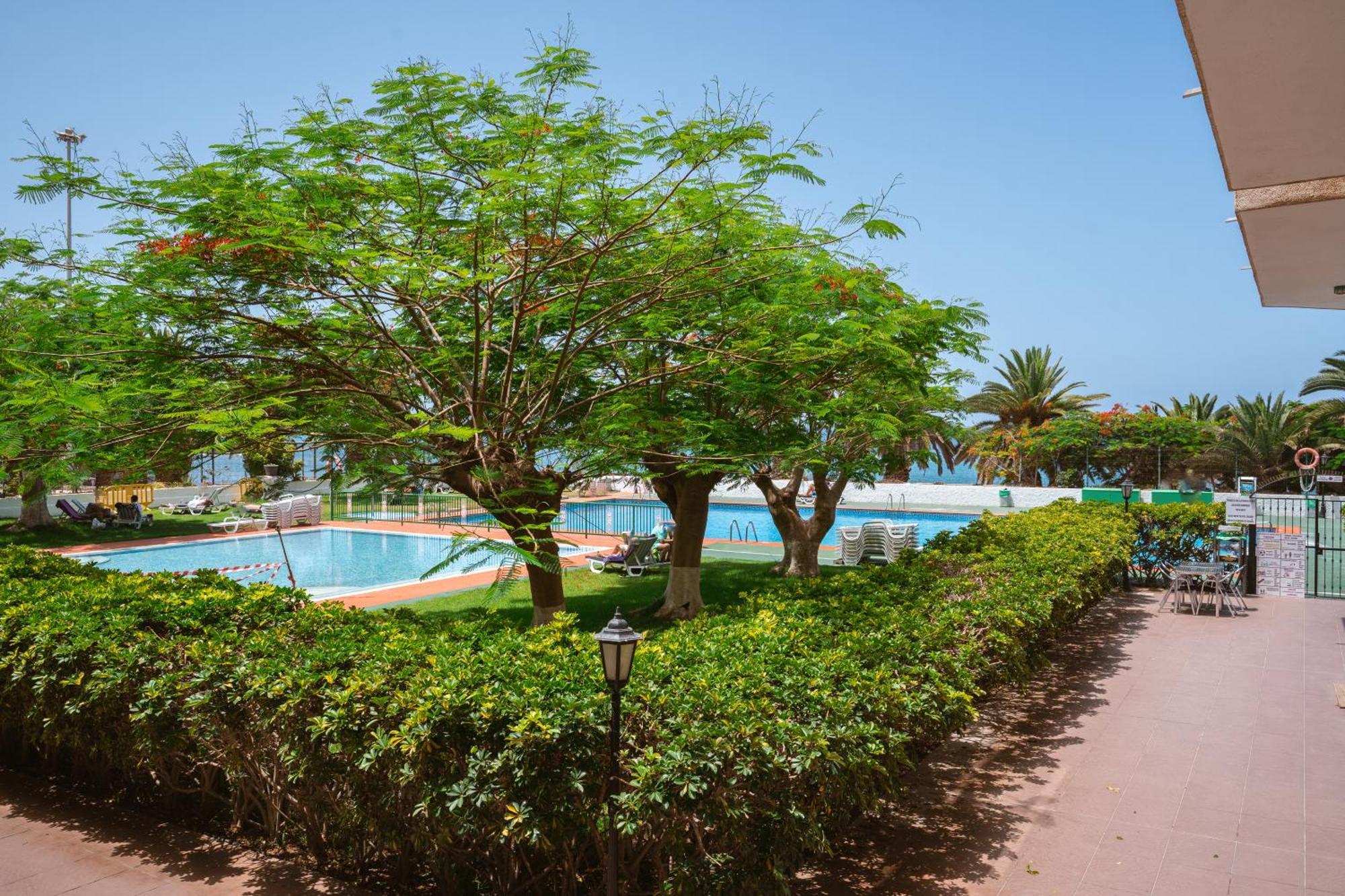 Go2tenerife Apart'dida Pool & First Line Of The Sea Los Cristianos (Tenerife)