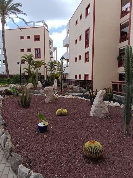 Balandros 303 Arona (Tenerife)