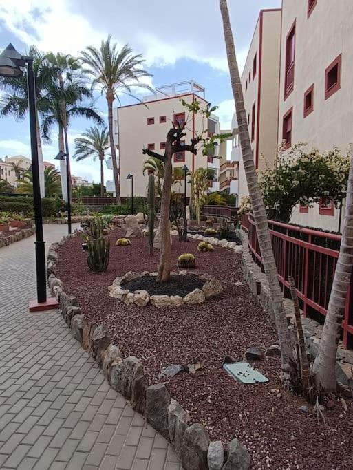 Balandros 303 Arona (Tenerife)