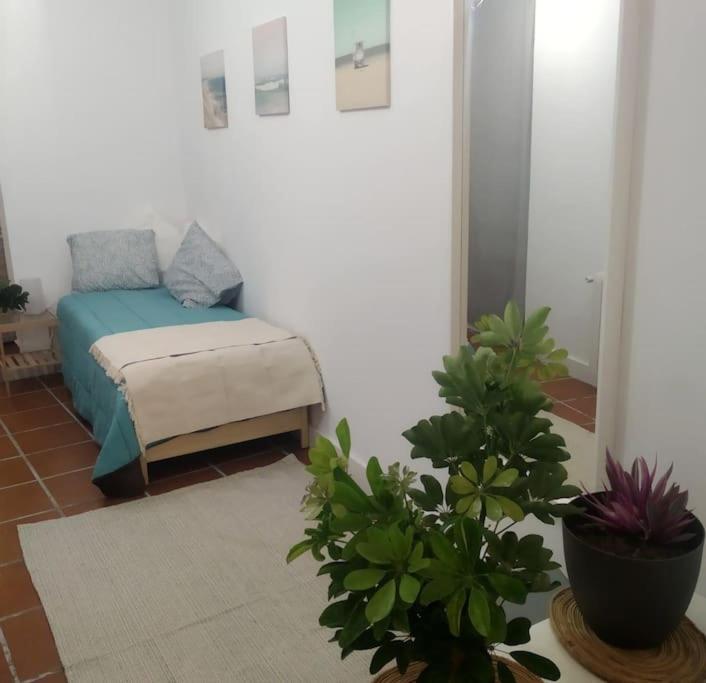 Simpatico Con Piscina Privada Y Vistas * El Sauzal