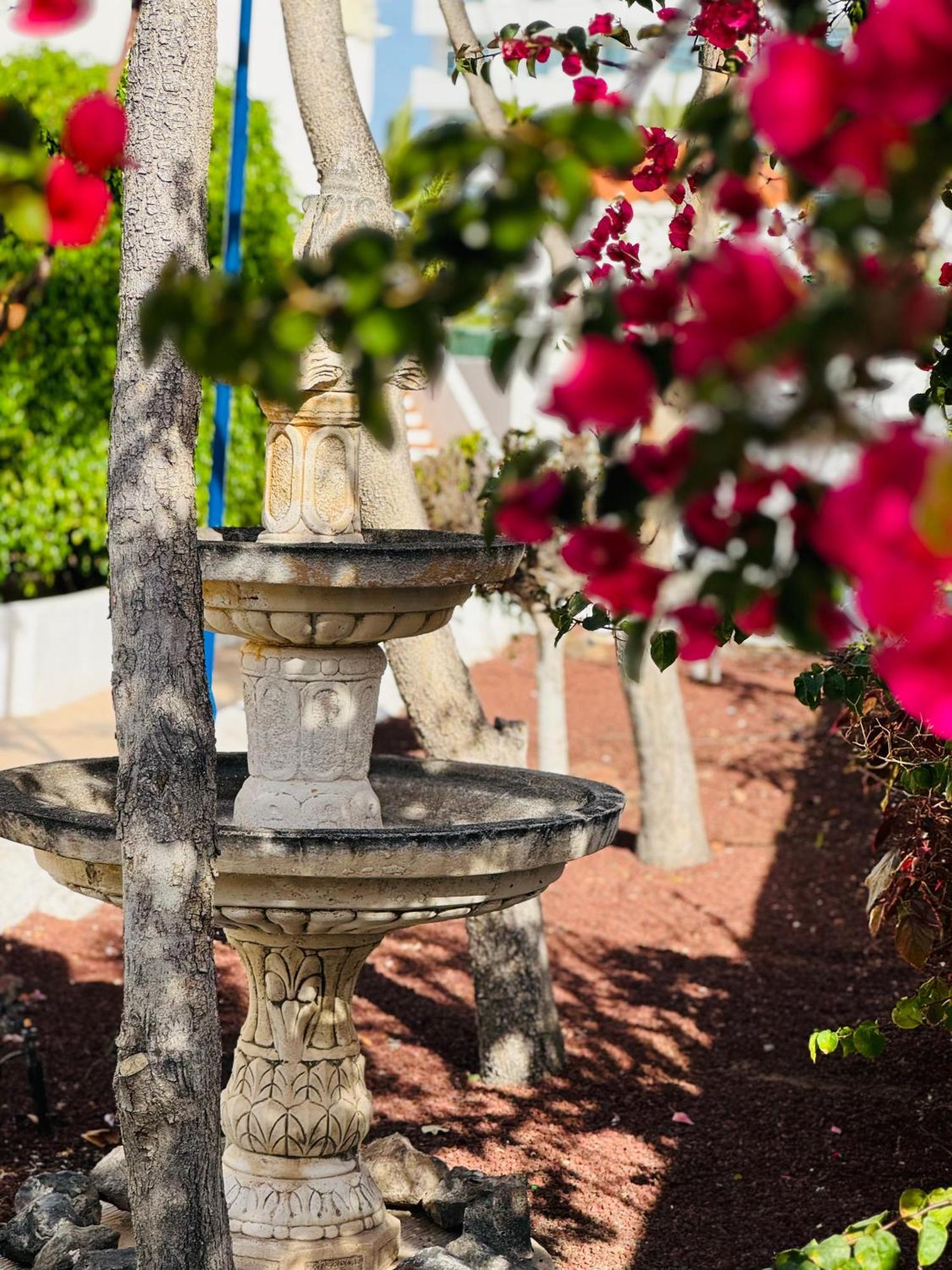 Appartement Garden Private Costa Adeje